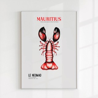 Le homard après Marée Noire