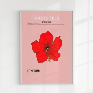 L'affiche L'hibiscus