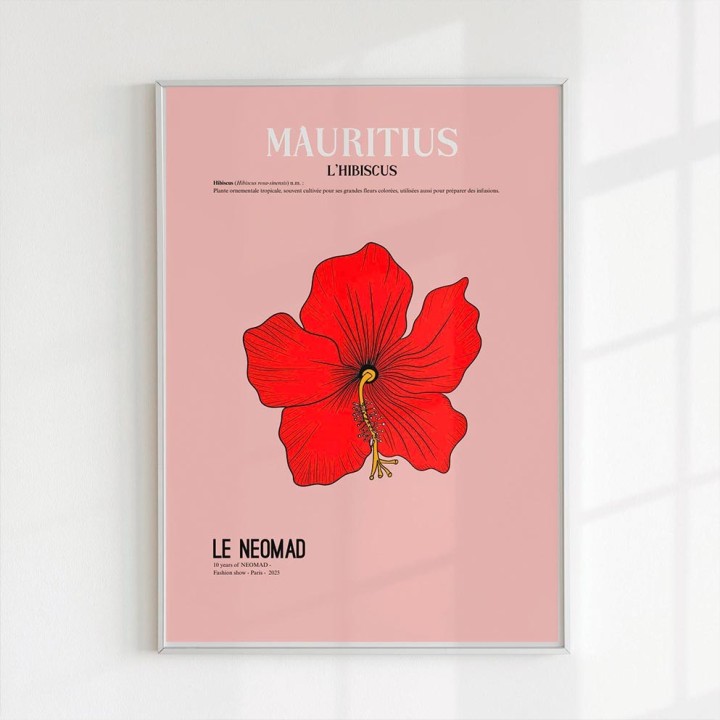 L'affiche L'hibiscus