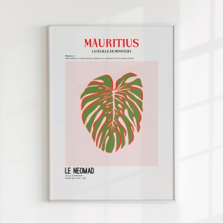 Le Monstera