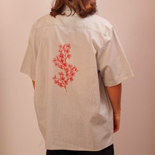 Chemise Bénitier