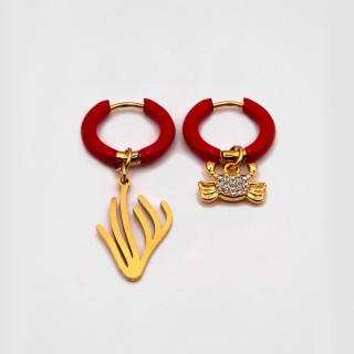 Le crabe qui brille – anneaux rouges