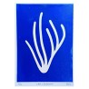 Cyanotypes